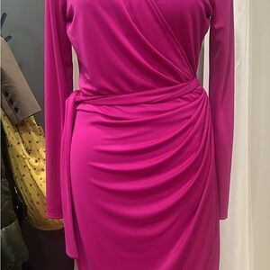 Lark & Ro Fuchsia Long Sleeve Wrap Dress